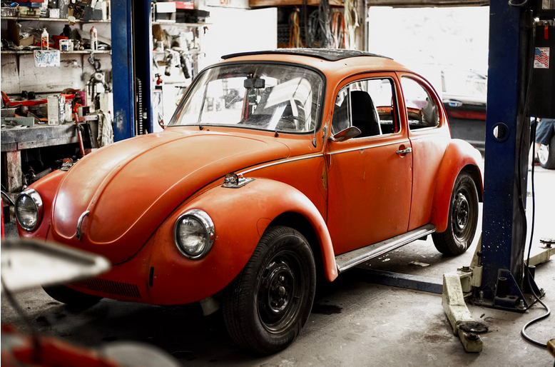 beetle